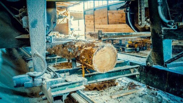 Automatyzacja procesu sortowania drewna w linii tartacznej