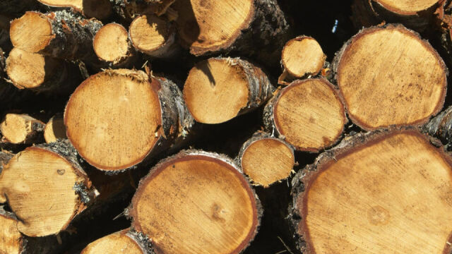 Czy warto stosować lakiery i impregnaty do ochrony drewna?