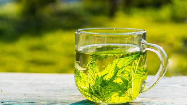 Jakie są korzyści zdrowotne picia bio herbaty?