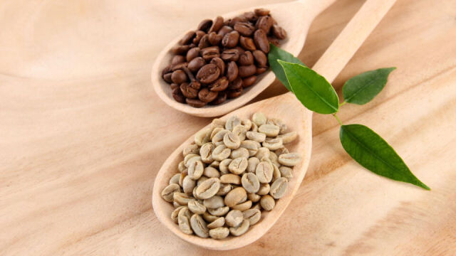 Na co zwrócić uwagę podczas wyboru importera kawy zielonej?